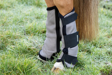 Hy Equestrian Fly Mesh Boot| Online For Equine