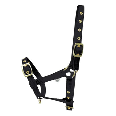 Hy Equestrian Foal Head Collar| Online For Equine