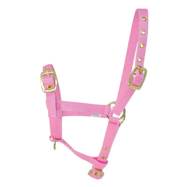 Hy Equestrian Foal Head Collar| Online For Equine