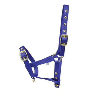 Hy Equestrian Foal Head Collar| Online For Equine