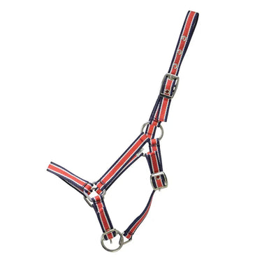 Hy Equestrian Foal Plus Head Collar| Online For Equine