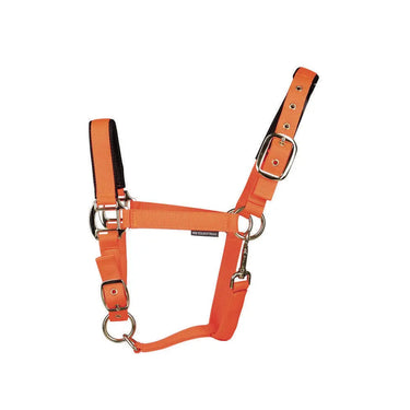 Hy Equestrian Grand Prix Head Collar| Online For Equine