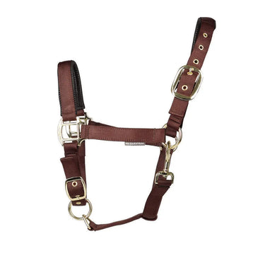 Hy Equestrian Grand Prix Head Collar| Online For Equine