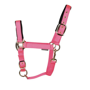 Hy Equestrian Grand Prix Head Collar| Online For Equine