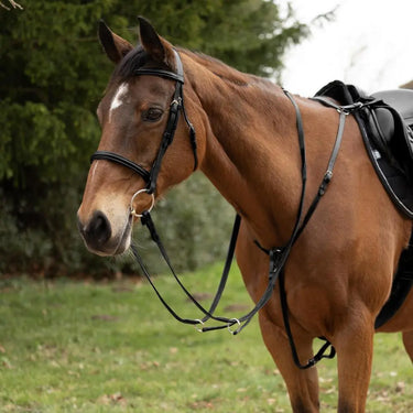 Hy Equestrian Hunting Breastplate| Online For Equine