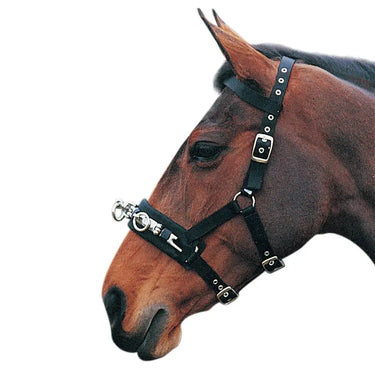 Hy Equestrian Lunge Cavesson| Online For Equine