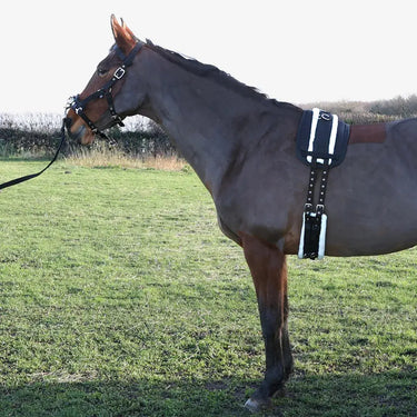 Hy Equestrian Lunge Roller Pad| Online For Equine