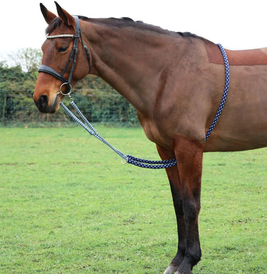 Hy Equestrian Lunging Aid| Online For Equine