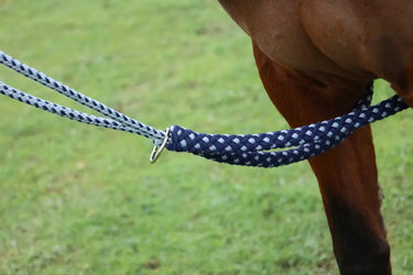 Hy Equestrian Lunging Aid| Online For Equine