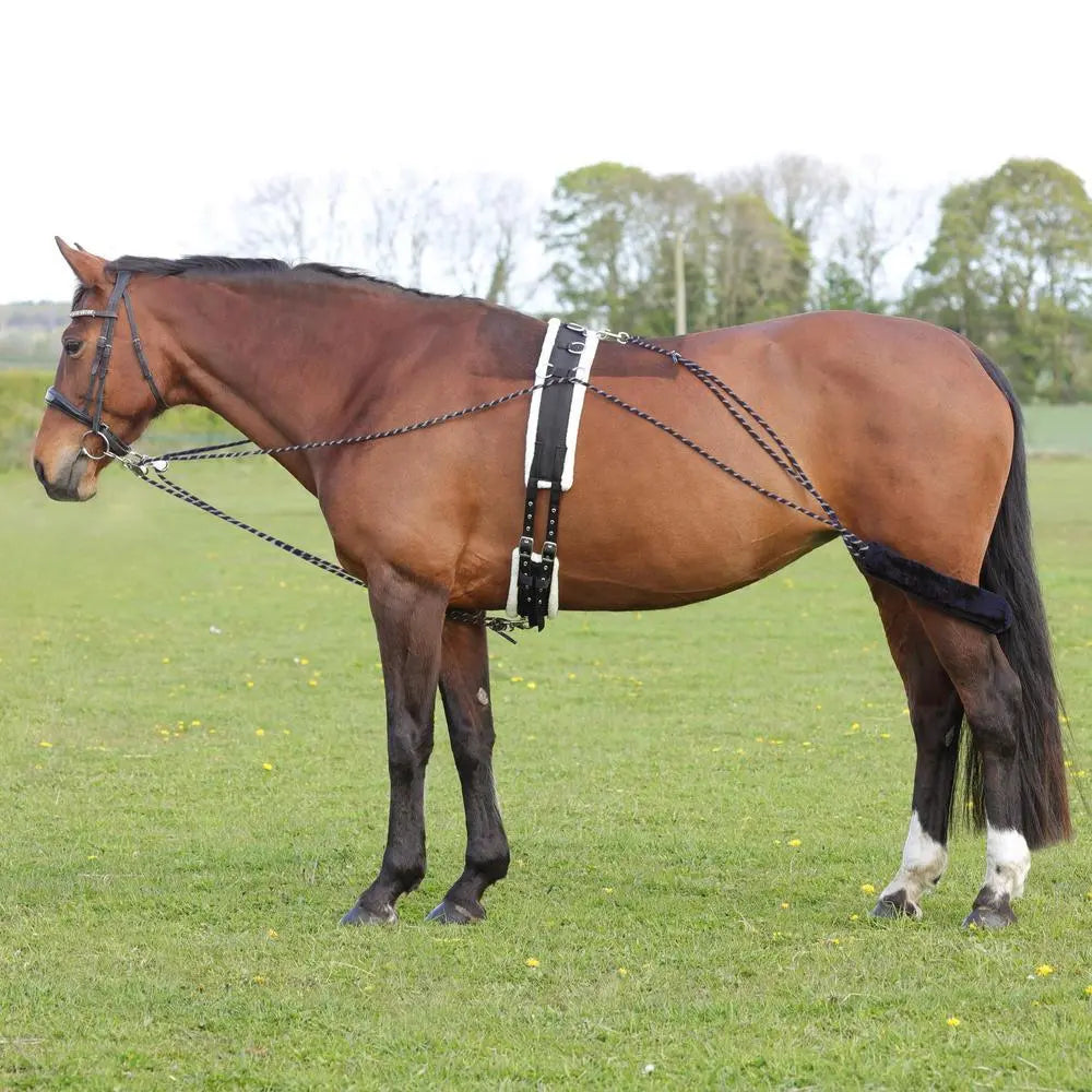 Lunging Set Buy Hy Equestrian Lunging System | Online for Equine – Online For Equine