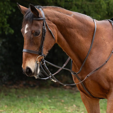 Hy Equestrian Market Harborough| Online For Equine