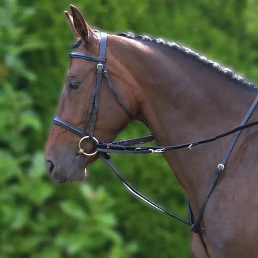 Hy Equestrian Market Harborough| Online For Equine