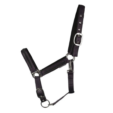 Hy Equestrian Mystic Head Collar| Online For Equine