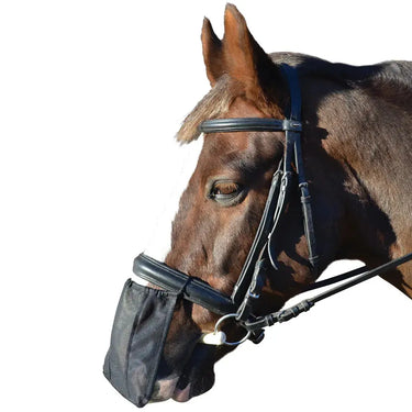 Hy Equestrian Nose Shield| Online For Equine