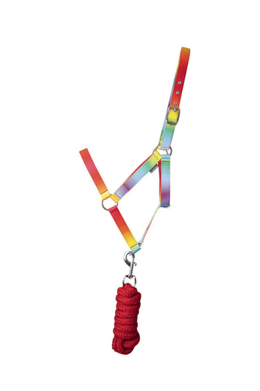 Hy Equestrian Ombre Head Collar & Lead Rope| Online For Equine