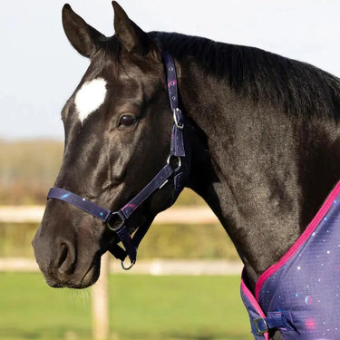 Hy Equestrian Out of this World Head Collar & Lead Rope| Online For Equine