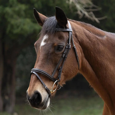Hy Equestrian Padded Flash Bridle with Rubber Grip Reins| Online For Equine