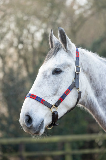 Hy Equestrian Polo Leather Head Collar| Online For Equine