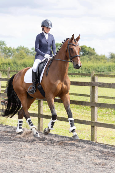 Hy Equestrian Roka Regal Riding Tights White| Online For Equine