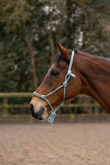 Hy Equestrian Rope Halter| Online For Equine