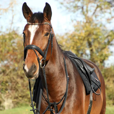 Hy Equestrian Rosciano Rose Gold Bridle| Online For Equine