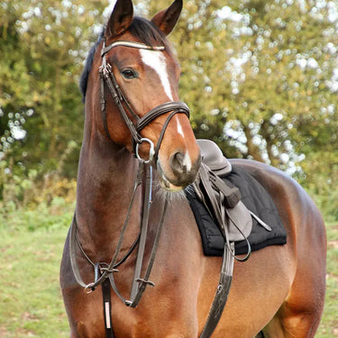 Hy Equestrian Rosciano Rose Gold Bridle| Online For Equine