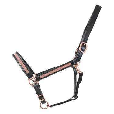 Hy Equestrian Rosciano Rose Gold Head Collar| Online For Equine