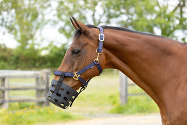 Hy Equestrian Rubber Muzzle| Online For Equine