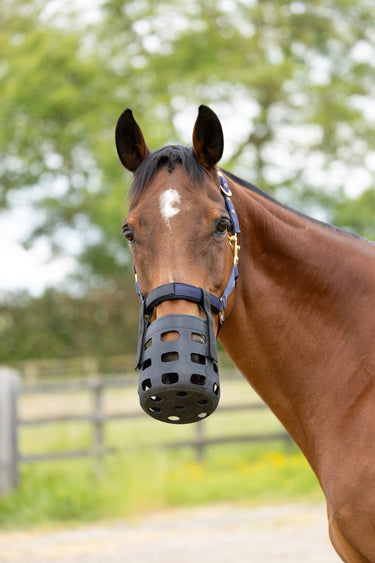 Hy Equestrian Rubber Muzzle| Online For Equine