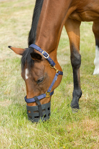 Hy Equestrian Rubber Muzzle| Online For Equine