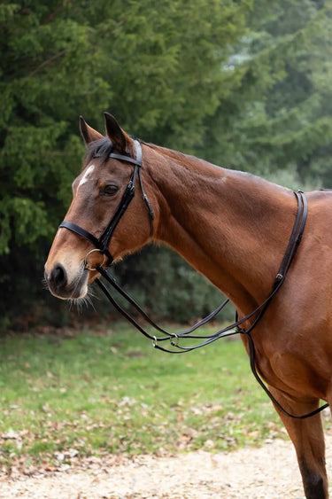 Hy Equestrian Running Martingale| Online For Equine