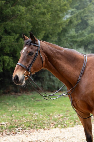 Hy Equestrian Running Martingale| Online For Equine