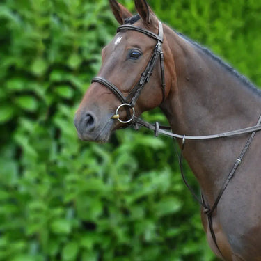 Hy Equestrian Running Martingale| Online For Equine