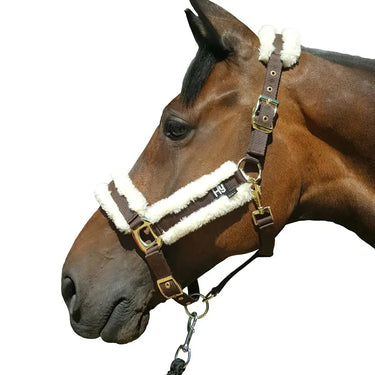 Hy Equestrian Sheepskin Head Collar| Online For Equine