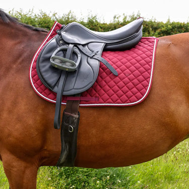 Hy Equestrian Splendid Showjump Saddle Pad| Online For Equine