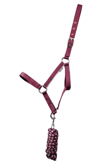 Hy Equestrian Synergy Head Collar & Lead Rope Fig/ Silver| Online For Equine