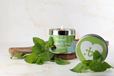 Hy Equestrian Thelwell Collection Candle| Online For Equine