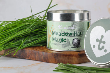 Hy Equestrian Thelwell Collection Candle| Online For Equine