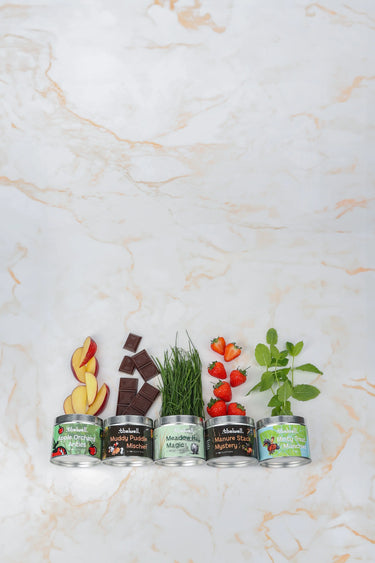 Hy Equestrian Thelwell Collection Candle| Online For Equine