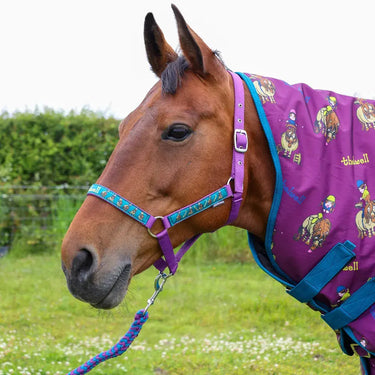 Hy Equestrian Thelwell Collection Pony Friends Head Collar & Lead Rope| Online For Equine