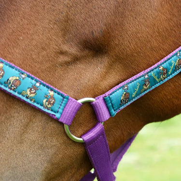 Hy Equestrian Thelwell Collection Pony Friends Head Collar & Lead Rope| Online For Equine