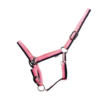 Hy Equestrian Trinity Head Collar| Online For Equine