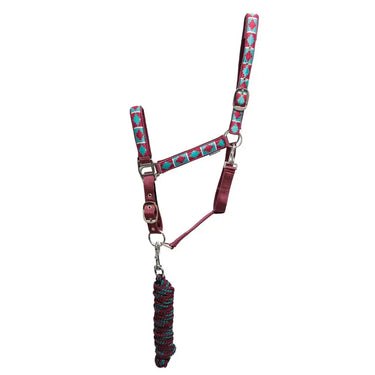 Hy Equestrian Woven Polo Head Collar and Lead Rope| Online For Equine