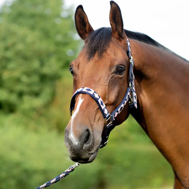 Hy Equestrian Woven Polo Head Collar and Lead Rope| Online For Equine