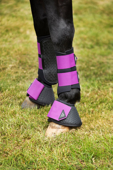 Hy Sport Active Brushing Boots Amethyst Purple| Online For Equine