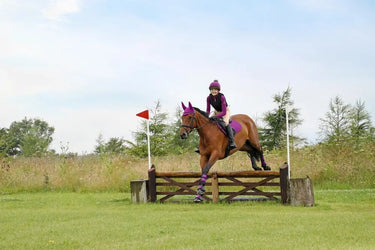 Hy Sport Active Fly Veil Amethyst Purple| Online For Equine