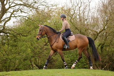Hy Sport Active Fly Veil Desert Sand| Online For Equine