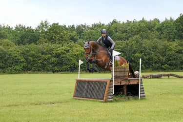 Hy Sport Active Fly Veil Pencil Point Grey| Online For Equine