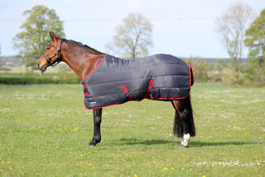 HyCONIC 100g Stable Rug| Online For Equine