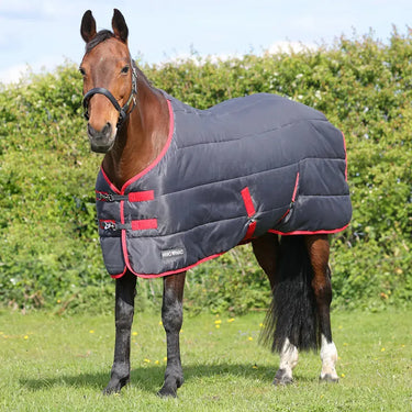 HyCONIC 100g Stable Rug| Online For Equine